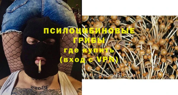spice Алзамай