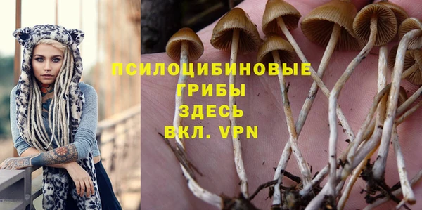 кокаин колумбия Алексин